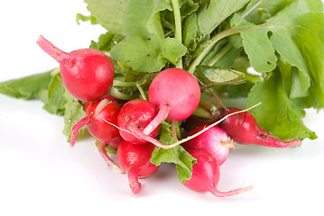 Image showing Fresh radishes