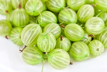 Image showing gooseberries