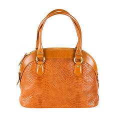 Image showing brown women bag