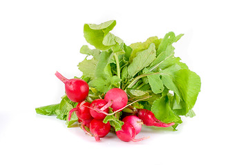 Image showing Fresh radishes