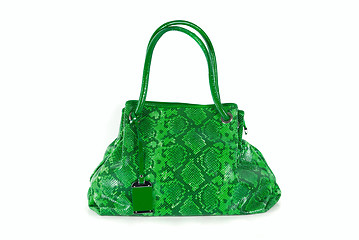 Image showing green women bag