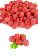 Image showing fresh raspberry