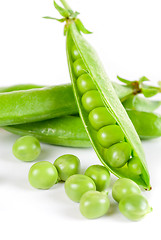 Image showing Ripe pea