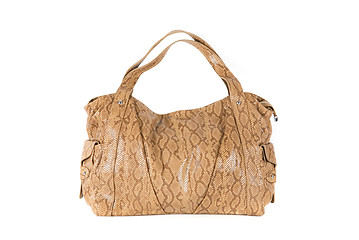 Image showing brown women bag