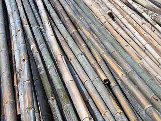 Image showing Bamboo girders texture