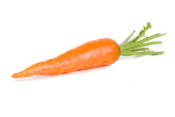 Image showing Carrots