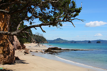 Image showing Coromandel