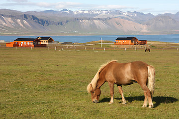 Image showing Iceland