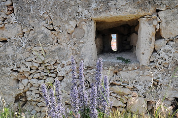 Image showing Wall of Medieval Fortress 