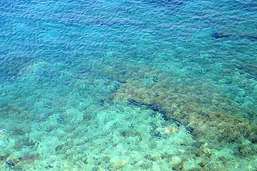 Image showing Reef in the Clear Water