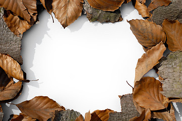 Image showing Autumn frame 1