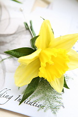 Image showing daffodil button hole and wedding invitation