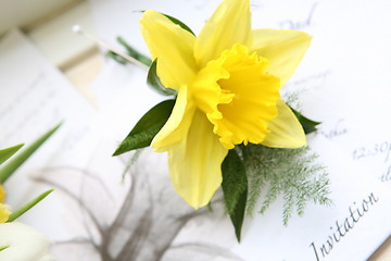 Image showing daffodil button hole and wedding invitation