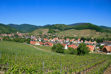 Image showing Village surrounded by vineyards in the Alsace Region of France a