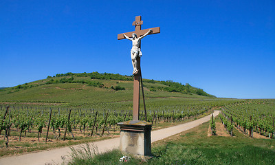 Image showing Cross in a vineyard at the Route des Vins in Alsace, France (made in 1892). The inscription (from 1892) says 