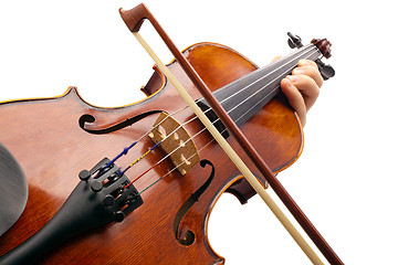 Image showing Playing Violin on white backround