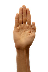 Image showing Hand