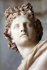 Image showing Apollo Belvedere statue. Detail