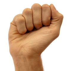 Image showing Male fist