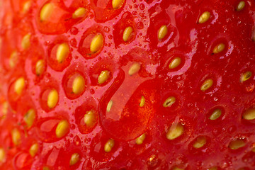 Image showing Strawberry. Macro