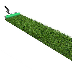 Image showing Grass Paint Roller