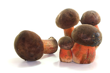 Image showing Boletus erythropus