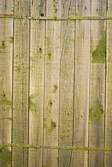 Image showing green fence