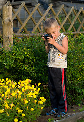 Image showing The boy photographs flowers.