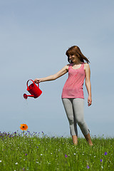 Image showing Watering the flowers