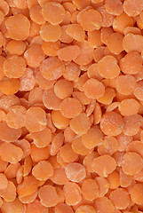 Image showing Red lentils