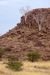 Image showing Landscape in Namibia