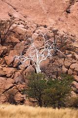 Image showing Landscape in Namibia