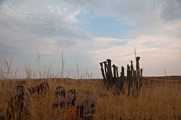 Image showing Landscape in Namibia