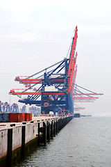 Image showing Idle harbor cranes on a misty morning