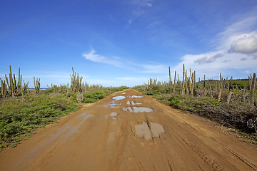 Image showing Desert road