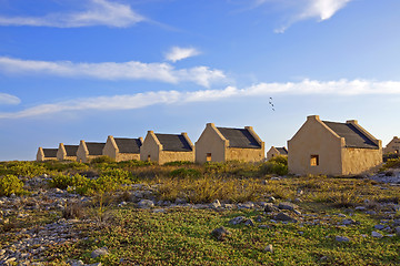 Image showing Slave huts