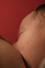 Image showing Breastfeed