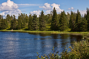 Image showing Scenic forest