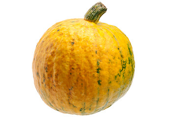 Image showing Yellow pumpkin isolated on white background.