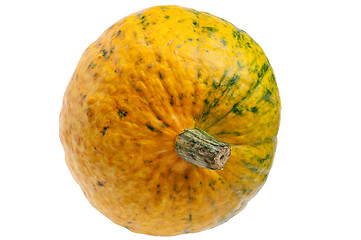 Image showing Colourful pumpkin isolated on white background.