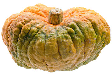 Image showing Colourful pumpkin isolated on white background.