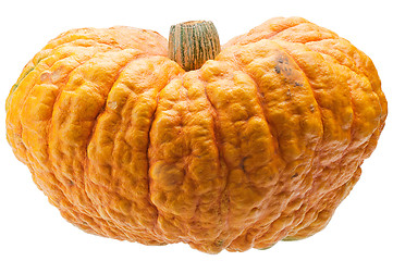 Image showing Orange pumpkin isolated on white background.