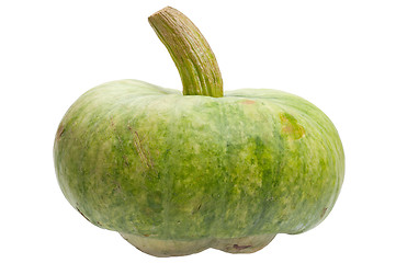 Image showing Green pumpkin isolated on white background.