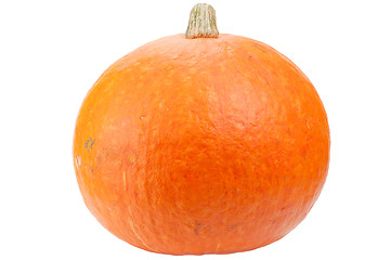 Image showing Orange pumpkin isolated on white background.