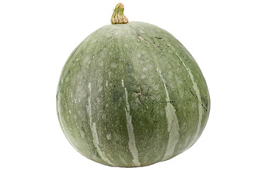 Image showing Green pumpkin isolated on white background.