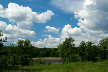 Image showing Forest landscape