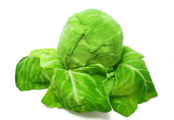 Image showing Cabbage on white background