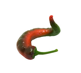 Image showing Twisted pepper