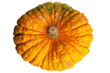 Image showing Colourful pumpkin isolated on white background.