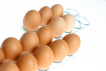 Image showing Eggs